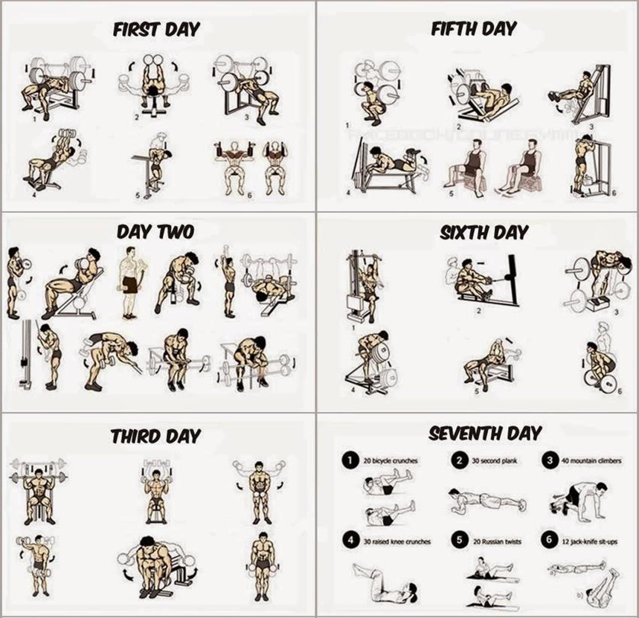 Splits split weight bodybuilding workouts gymguider cardio Best workout routine for building muscle mass and increasing strength