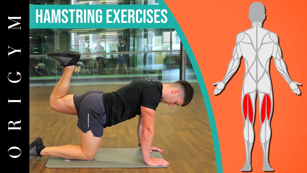 Best weight training exercises for building strength and toning muscles