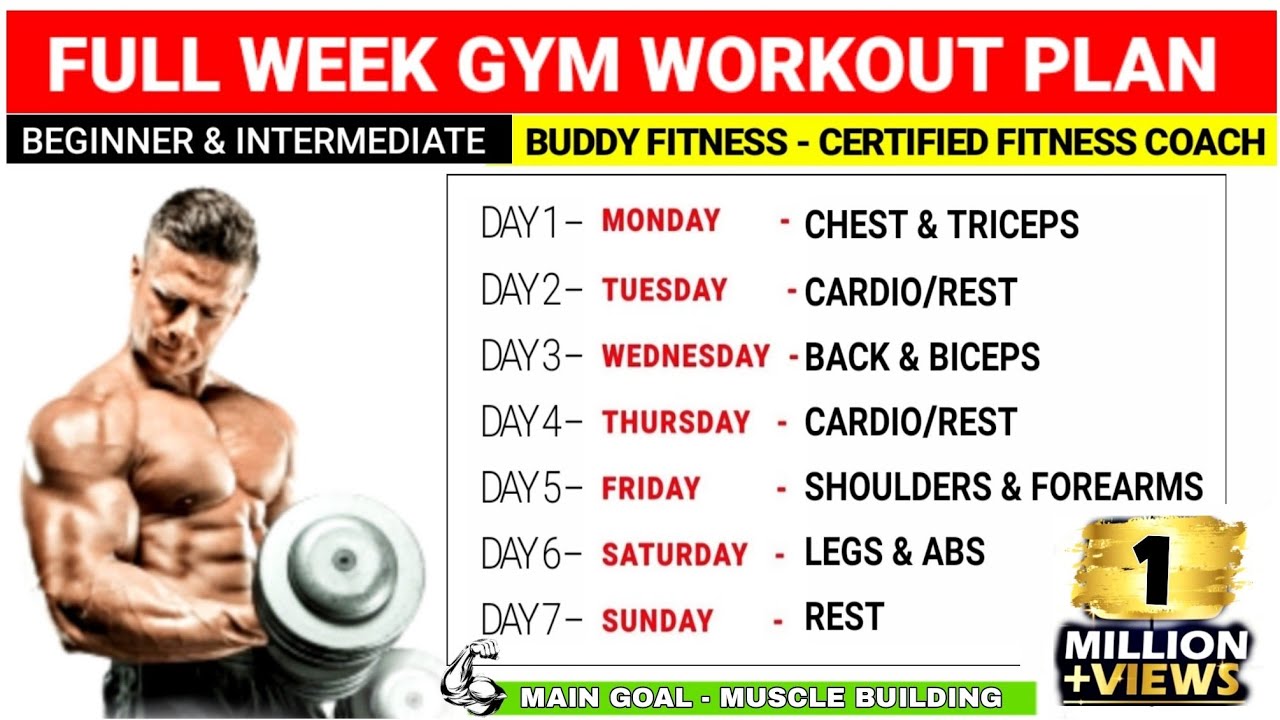 Workout gym muscle day building program beginners routine plan exercise training plans workouts men paperblog weekly body work out full