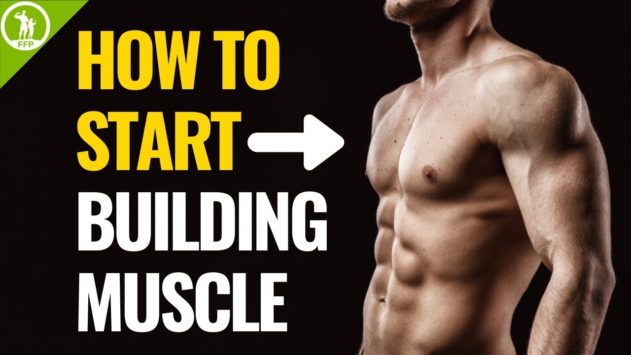 Weight training for beginners: a complete guide to building muscle