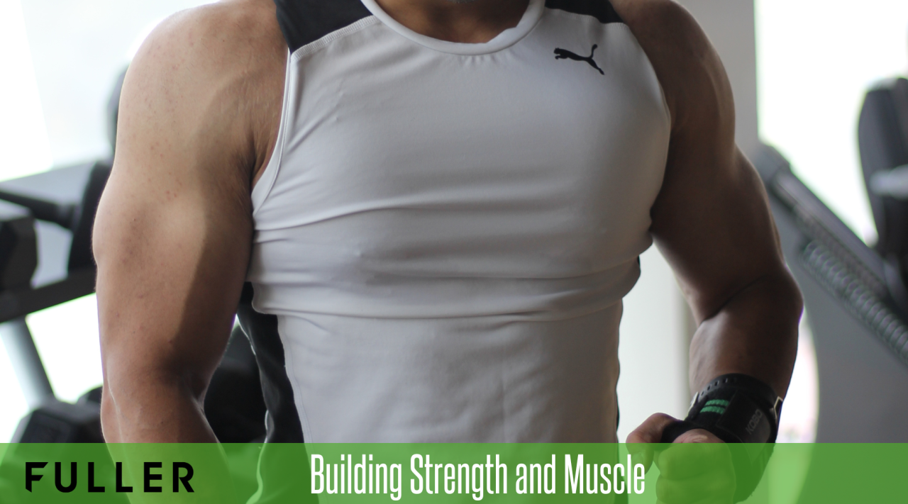 Proven weight training programs for significant muscle gain