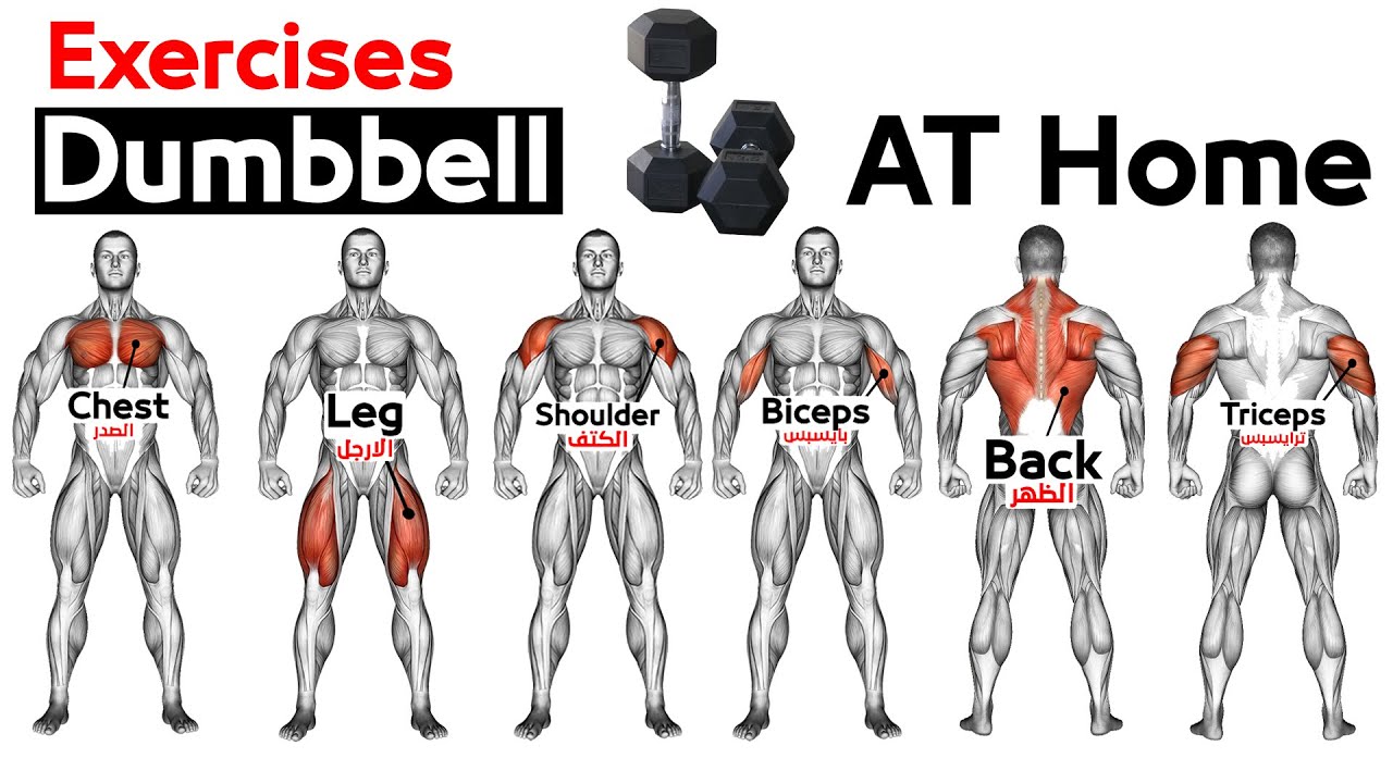 Workout power body upper workouts weight darebee exercises dumbbell training fitness dumbell arm dumbbells exercise plan full arms bodyweight strength