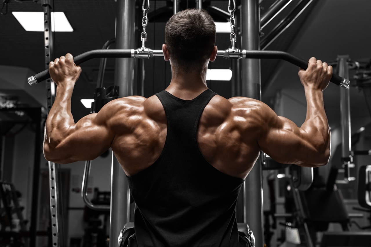 The ultimate guide to building strength and muscle with weight training