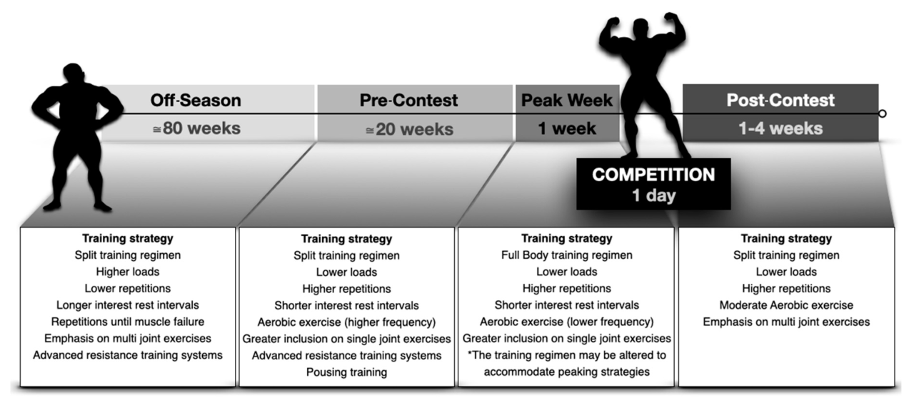 The best weight training routine for building muscle and strength